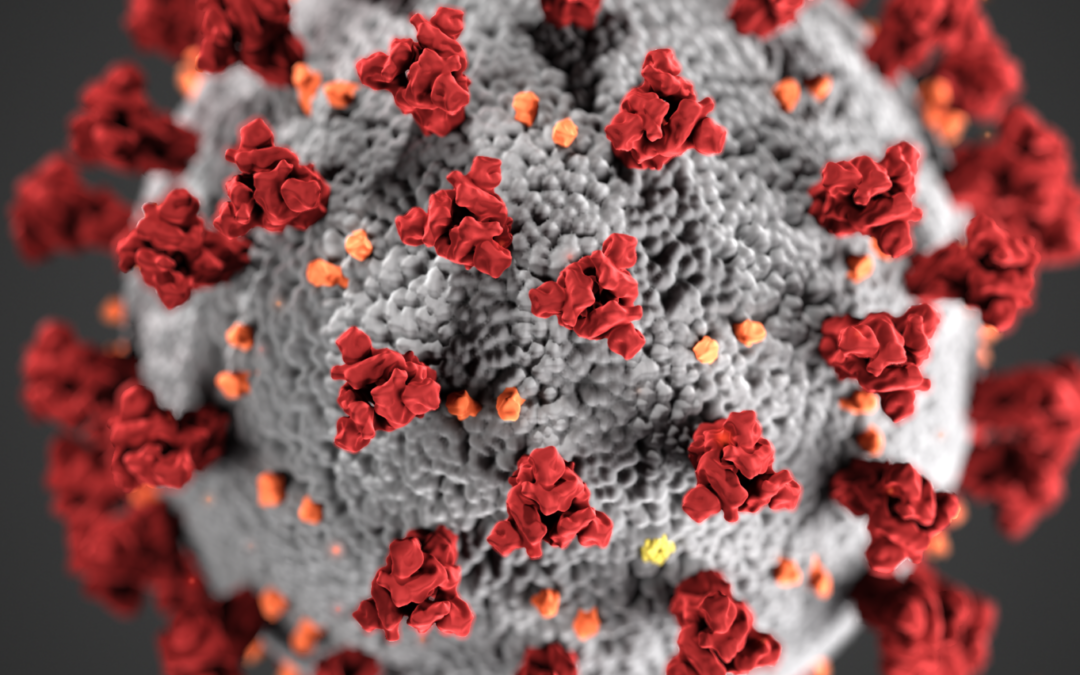 Aides liées au Coronavirus : ce qui change en septembre.